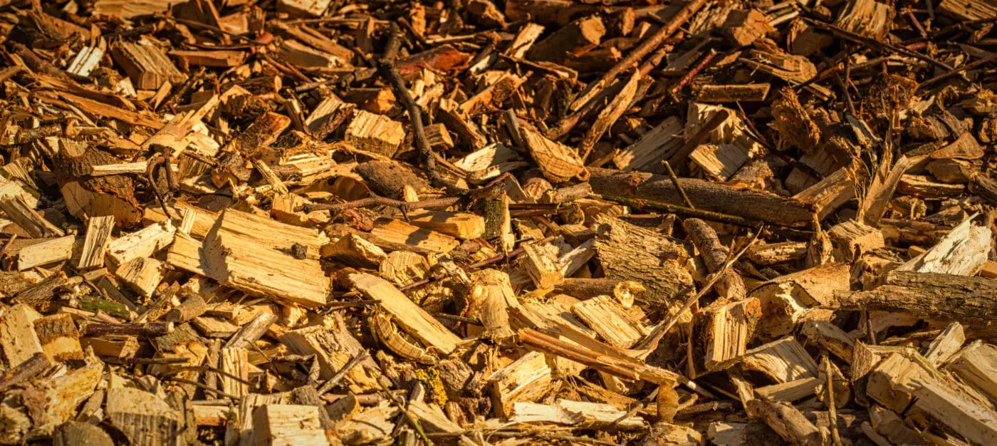A pile of wood chips.