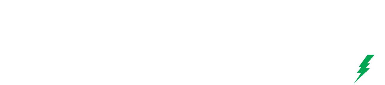 Bluebird Electric Logo